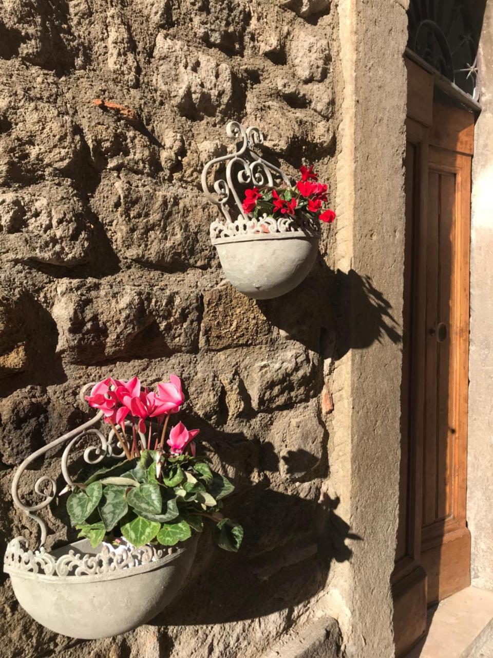 Il Gallo Витербо Экстерьер фото